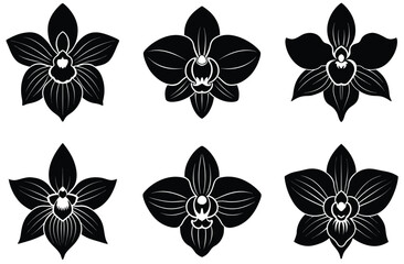 ORCHID VECTOR FLOWER