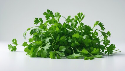 Obraz premium Isolated coriander or cilantro leaves against a white background.
