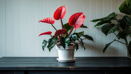 Greenery in white flowerpot placed on a white table and background reflects hospitality