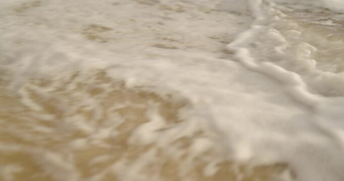 tartarugas voltando para o mar em uma amanhecer do sol lindo (turtles returning to the sea on a beautiful sunrise)