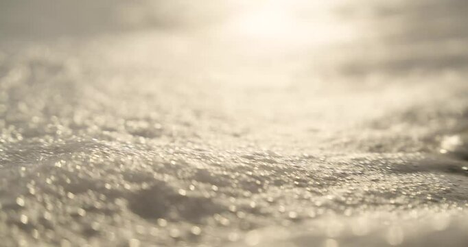 tartarugas voltando para o mar em uma amanhecer do sol lindo (turtles returning to the sea on a beautiful sunrise)