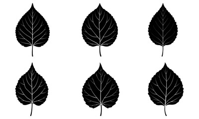 Aspen Leaf Silhouette vector illustration