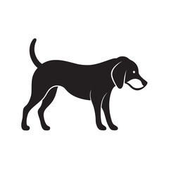 Beagle Sniffing Ground In Curiosity Silhouette