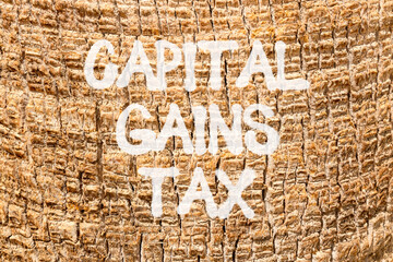 Capital gains tax symbol. Concept words Capital gains tax on beautiful palm bark. Beautiful palm bark background. Business and capital gains tax concept. Copy space.