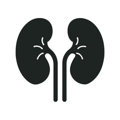 Human Kidneys With Ureter Anatomy Silhouette
