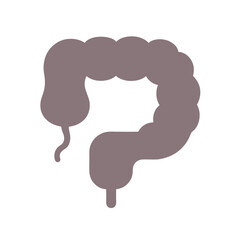 Large Intestine Colon Detail Silhouette