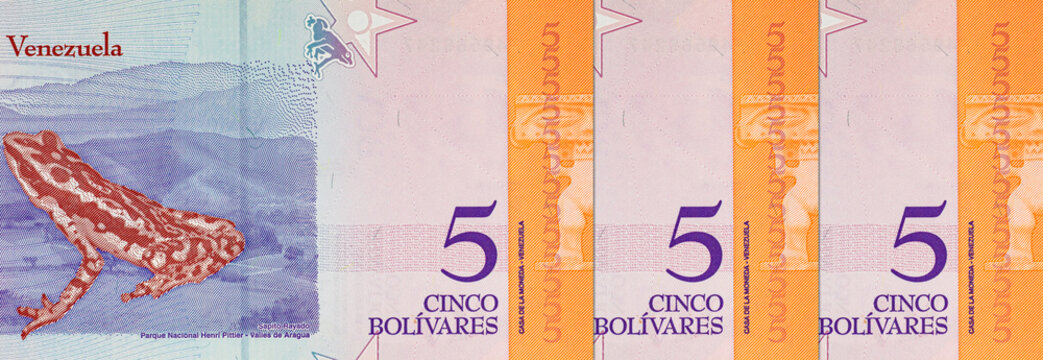 5 Bolivares Venezuela, with a picture of the frog Sapito Rayado. Paper money of Venezuela.