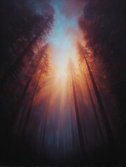 Bright sun rays stream through trees at sunset in a mountain forest landscape, a vibrant scene of nature's light