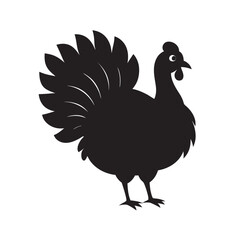 Turkey Showing Full Feather Display Silhouette