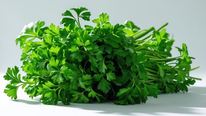 Fototapeta premium Green cluster of parsley