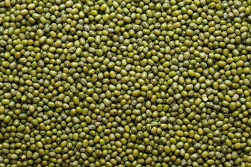 Mung Bean