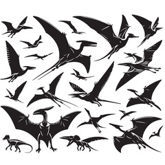 Black Color Pteranodon Silhouette Vector Illustration, Solid White Background. minimal vector design © blackworld