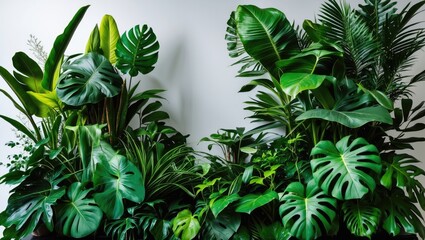 Obraz premium Floral arrangement of tropical leaves and foliage plants with a nature backdrop, isolated on background, clipping path included