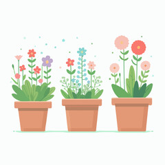 flower, pot, plant, spring, nature, flowers, blossom, pink, hyacinth, bloom, isolated, flowerpot, leaf, floral, gardening, flora, garden, growth, petal, season, decoration, tulip, botany, purple, summ