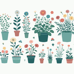 set of flowers in pots