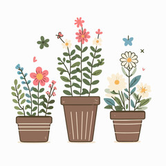 flowers in pots
