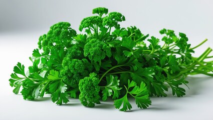 Fototapeta premium White background featuring fresh parsley