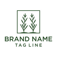 Contemporary green logo with minimalist illustrations of two symmetrical plant forms enclosed in a square. Represents natural growth, balance, and organic elements. 