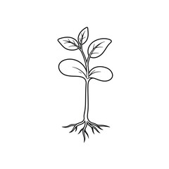 Little seedling sprout cute cartoon outline line art illustration. Gardening farming agriculture coloring book page activity worksheet for kids