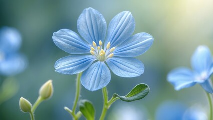 The blue-petaled forget-me-not flower, a lovely wildflower, carries symbolism.