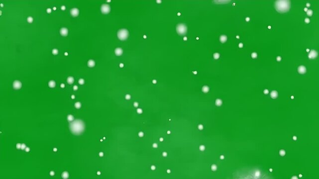 Video is a digital graphic featuring a green background with a pattern resembling falling snow or scattered white particles.