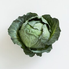 Fototapeta premium Fresh cabbage head close up shot on a white background