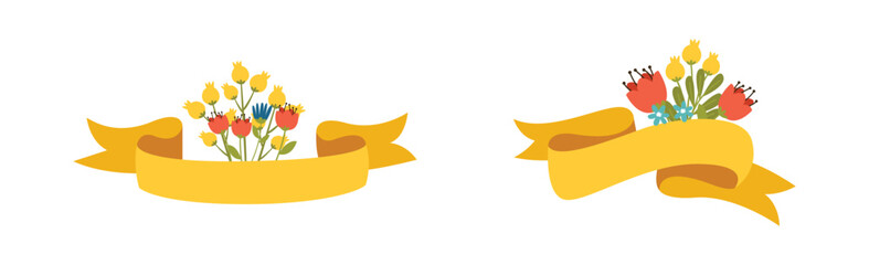 Set Ribbon Collection white background