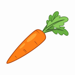 Fresh Orange Carrot with Green Tops - Vegetable Illustration