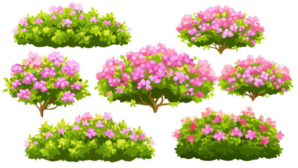 Pink Azalea Bushes, Garden Plants, Spring Flowers, Landscape Design Elements