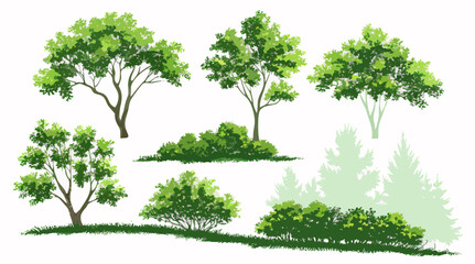 Hand-drawn Green Trees, Bushes & Shadows Illustrations