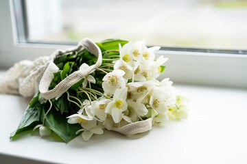 Beautiful white flower Helleborus niger. Christmas rose or black hellebore is an evergreen perennial flowering plant in the buttercup family Ranunculaceae.