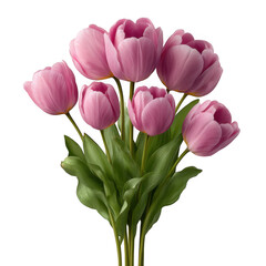 Fototapeta premium A bouquet of six pink tulips on black