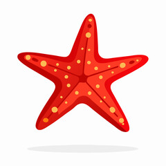 Red Starfish Illustration, Ocean Animal Graphic