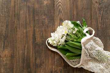 Beautiful white flower Helleborus niger. Christmas rose or black hellebore is an evergreen perennial flowering plant in the buttercup family Ranunculaceae.