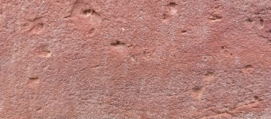 Red sandstone texture background close up. Red Brick Close up.