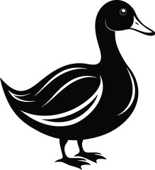 Duck silhouette, Duck vector icon