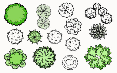 Top View Collection of Trees and Shrubs for Landscape Design