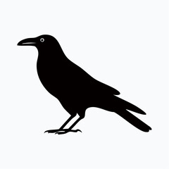 Obraz premium Flat 2D Silhouette of Standing Crow in Side View — Minimalist Vector