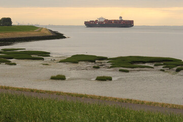 the dutch coast in zeeland with a salt marsh with grass humps and a big container ship in the...
