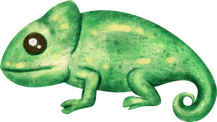 watercolor chameleon