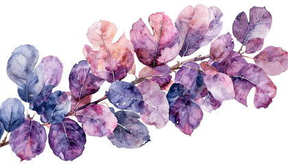 Obraz premium a delicate watercolor painting depicts a branch of fig leaves in varying shades of purple, lavender, and muted blue against a clean white background.