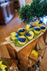 sugar, celebration, cup, muffin, pink, baked, closeup, belief, ceremony, colours, event, oval, tradition, meter, pill, birthday party, fitting, homemade, pastry, blue, chocolate, eatery, food and drin