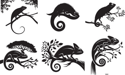 Six silhouettes of chameleons on branches and trees