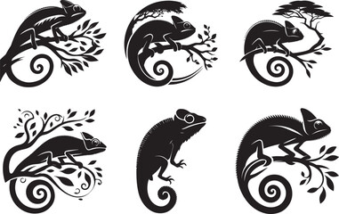Six silhouettes of chameleons on branches and swirls