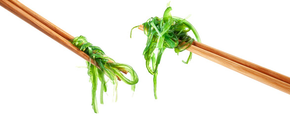 Chopsticks holding Japanese seaweed salad. Japanese cuisine - Wakame salad, Chuka seaweed salad isolated on a white background.