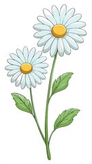Two White and Yellow Daisies with Green Stems and Leaves Cartoon Illustration