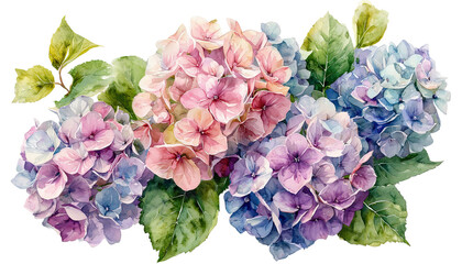 Obraz premium a delicate watercolor painting showcases a vibrant arrangement of hydrangea blooms in shades of pink, purple, and blue, complemented by lush green foliage.