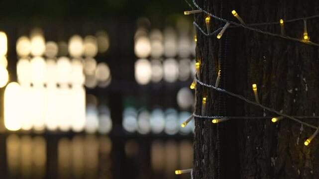 garlands wrapped around a tree trunk
