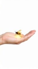 Obraz premium An illuminated bee rests on a hand against a white background, capturing a magical moment