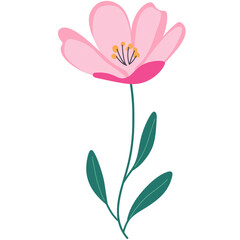 Obraz premium Bright pink flower with green leaves. PNG image, transparent background